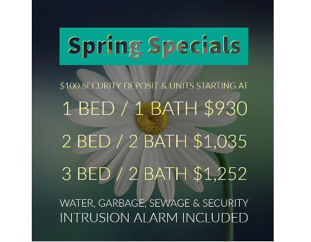 Summer Specials 2018
