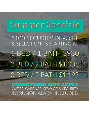 Summer Specials 2018