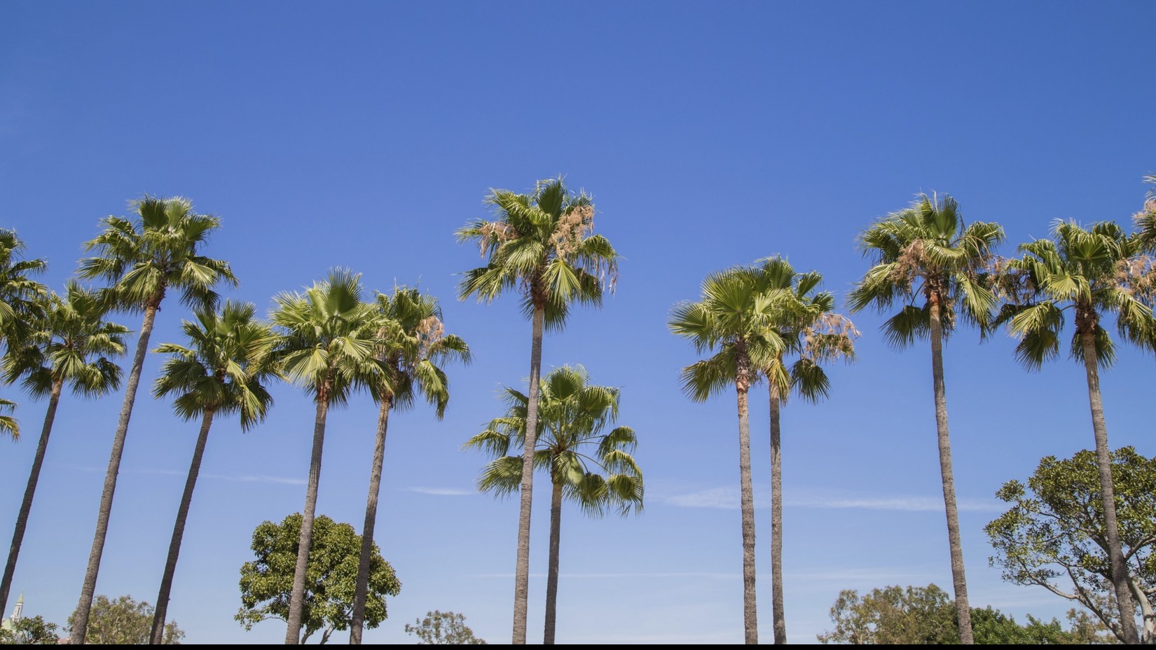 Gulfstream Isles