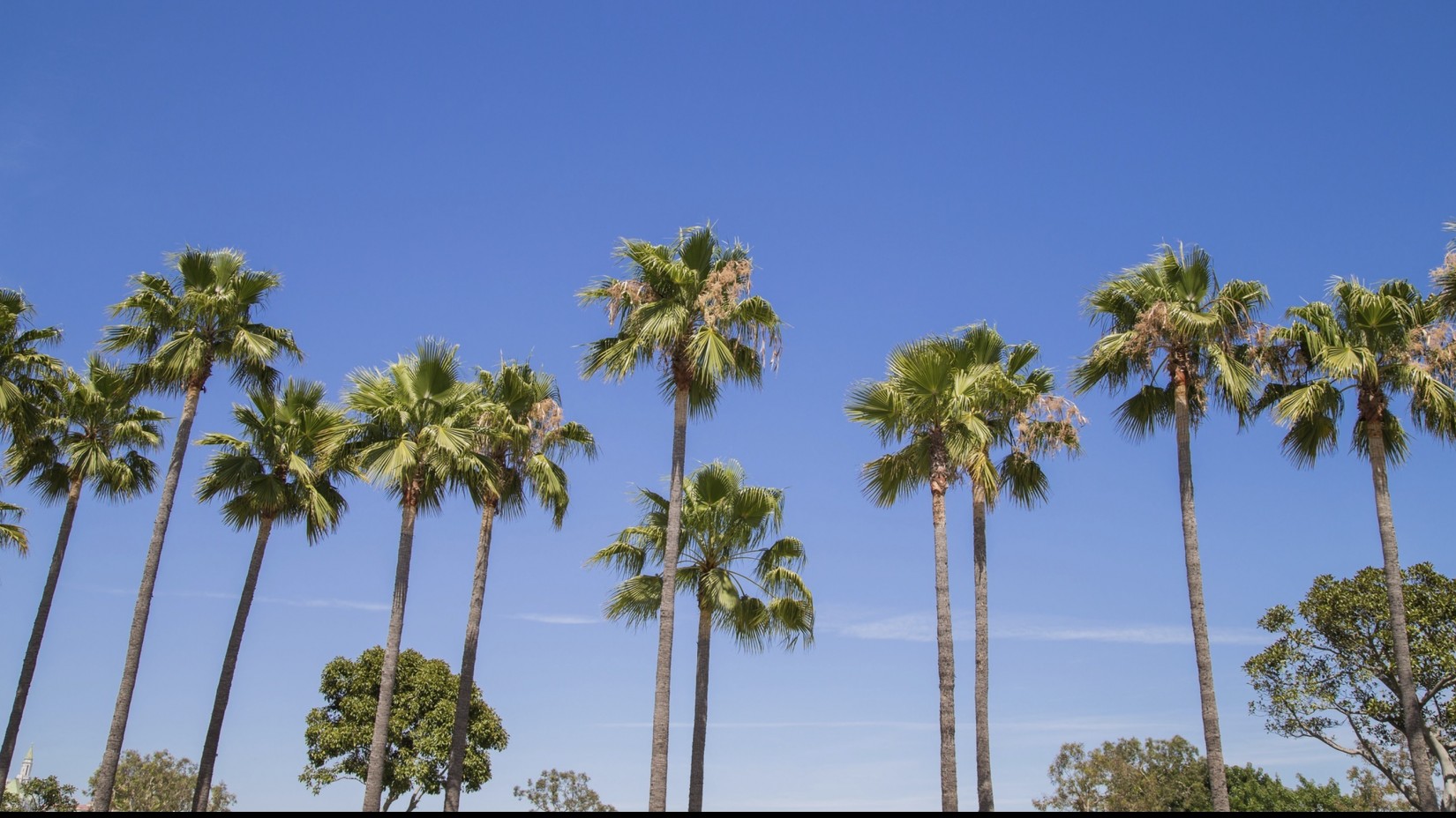 The Palms at Peccole Ranch