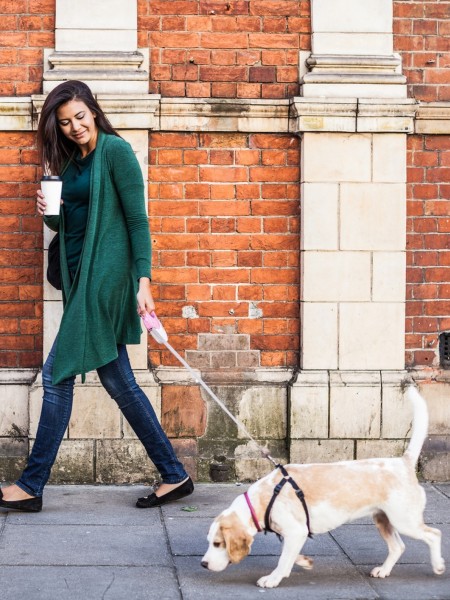 Pet-Friendly Apartments | Luxury Apartments In Chicago | Cobbler Square Lofts