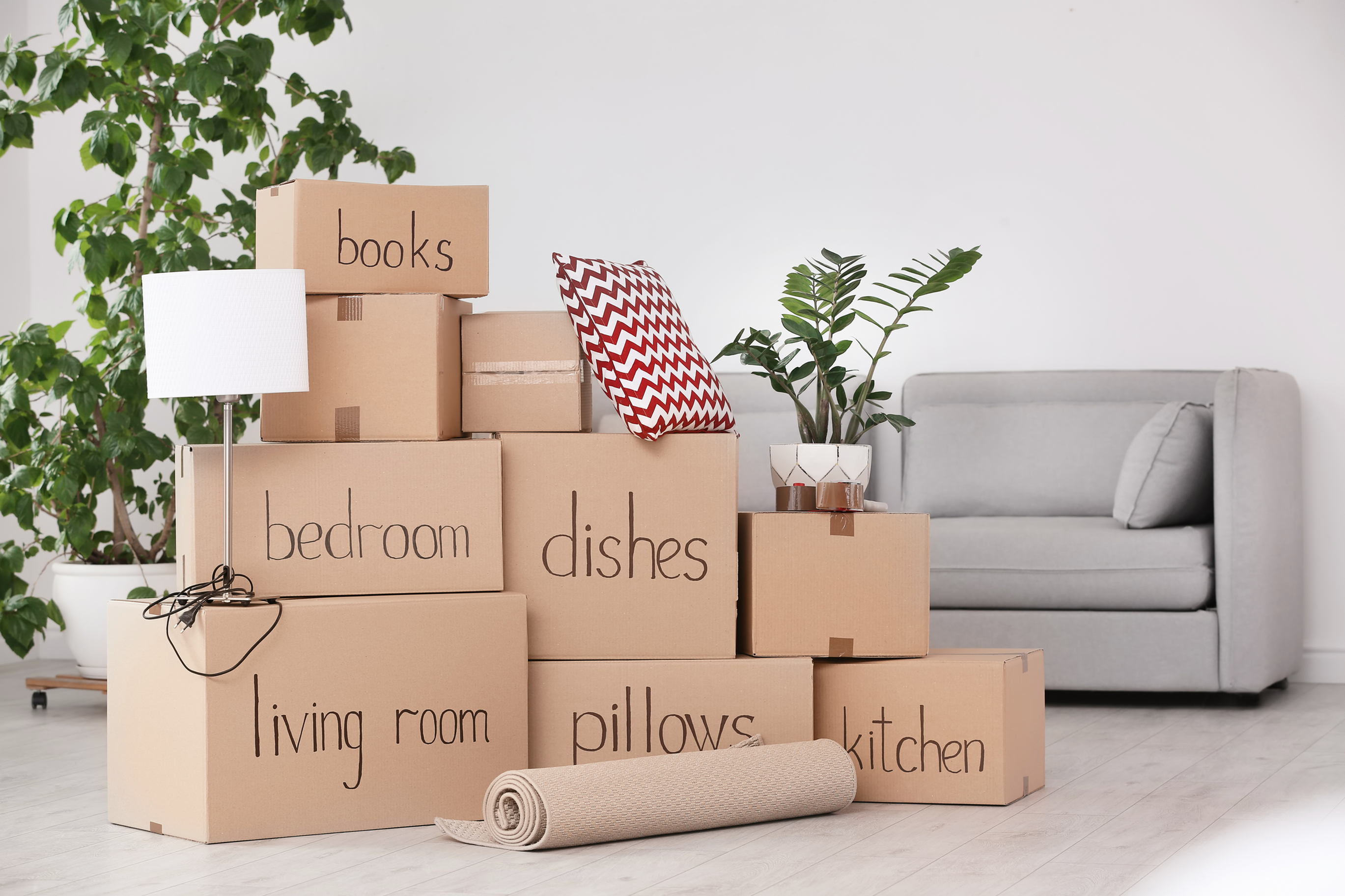 How To Save Money On Moving Expenses - 