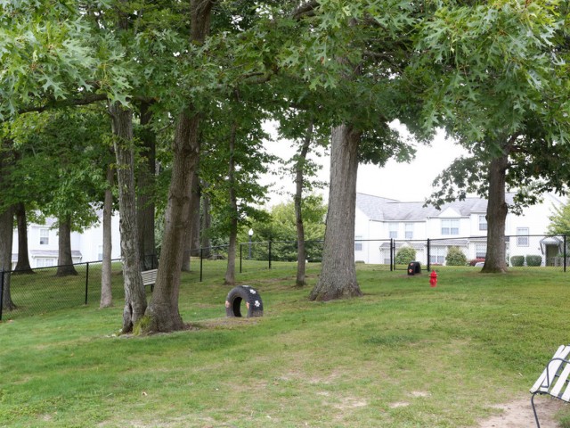 Image of Dog Park for Perkins Place