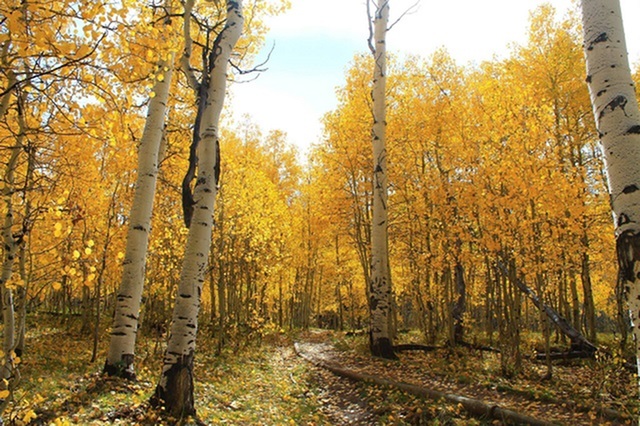 Eight Things to Do This Fall!-image