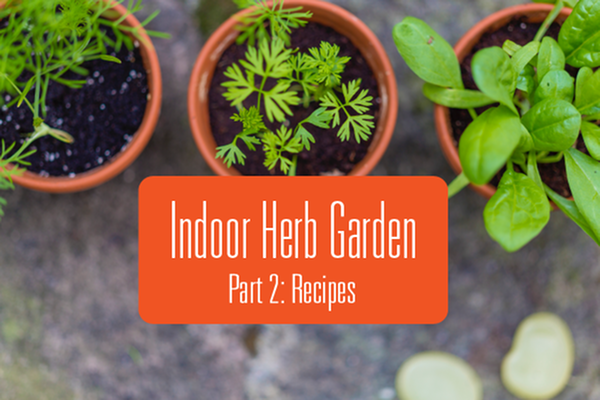 A background of herbs in pots with the text - indoor herb garden