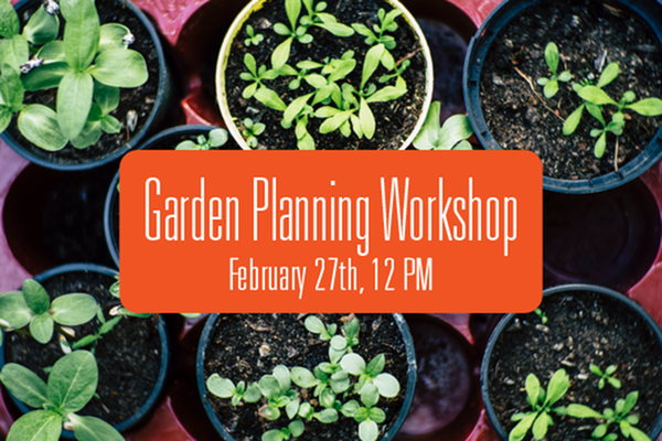 A background of herbs in pots with the text - garden planning workshop - feb 27th at 12 pm