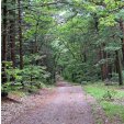 Lynn Woods Reservation