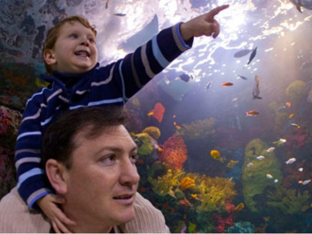 Virginia Aquarium Marine Science Center