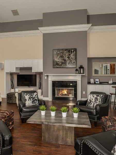 River Birch Apartment Homes