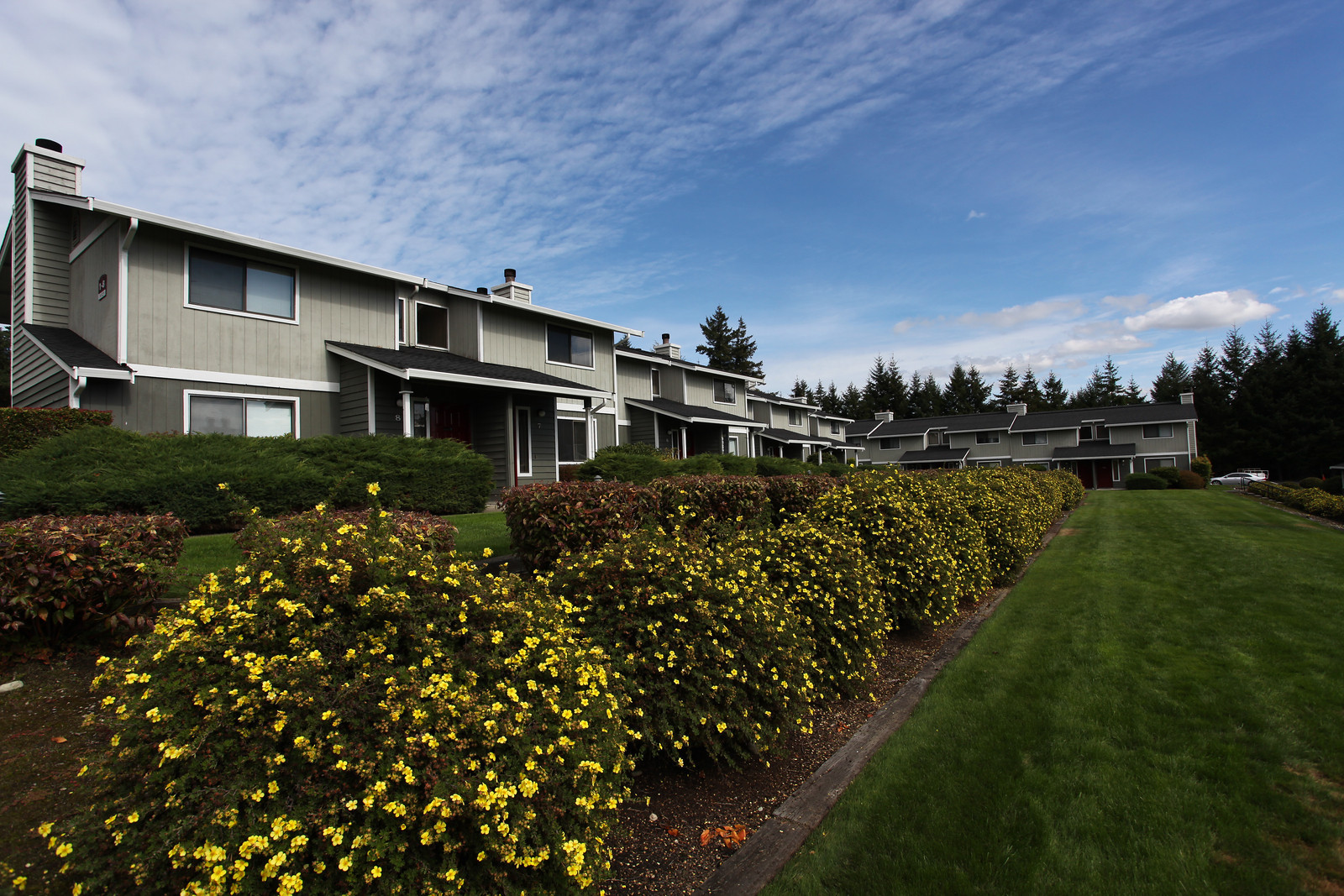 Village at Nisqually Ridge Image 19