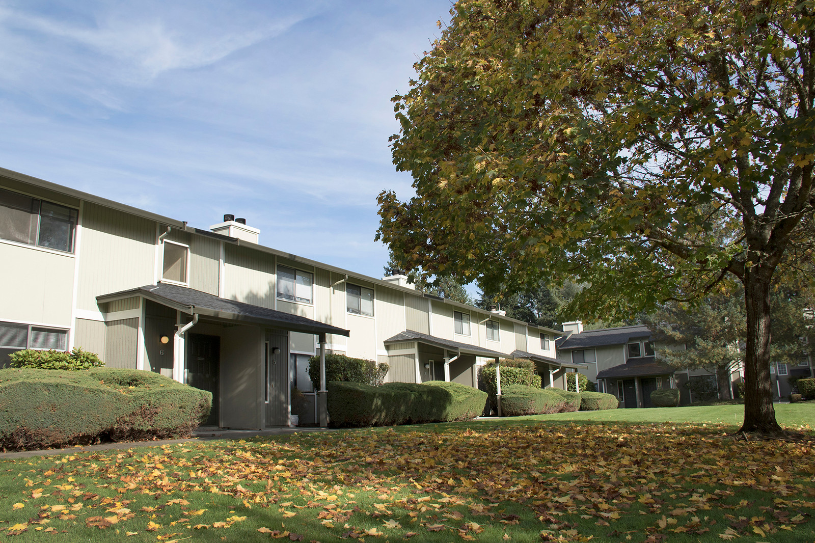 Village at Nisqually Ridge Image 18