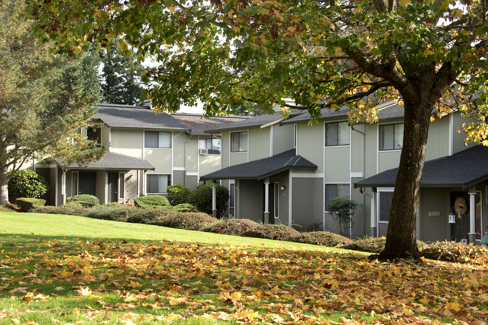 Village at Nisqually Ridge Image 20