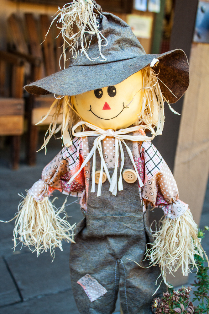 How to Make a Scarecrow-image
