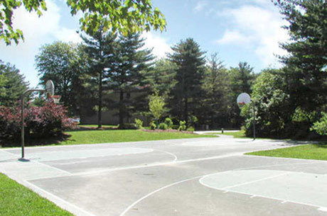 Basketball Court Basketball Court