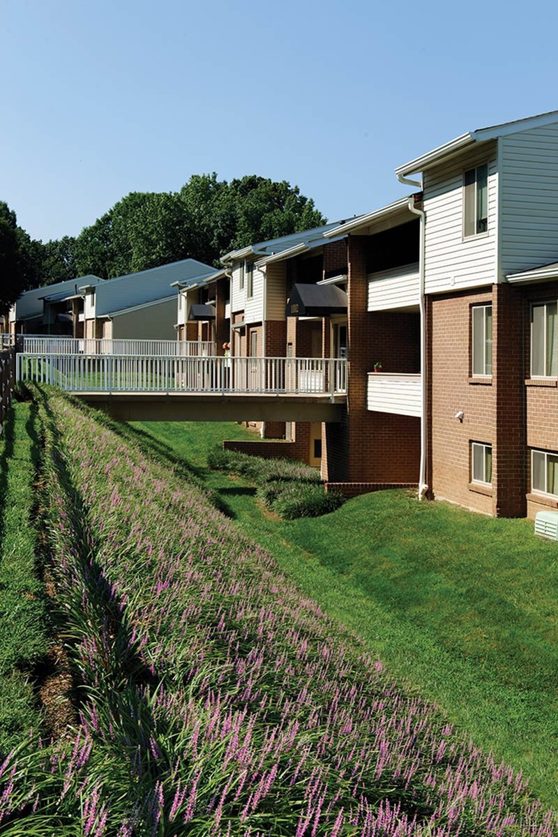 Saddle Brooke Apartments Exterior