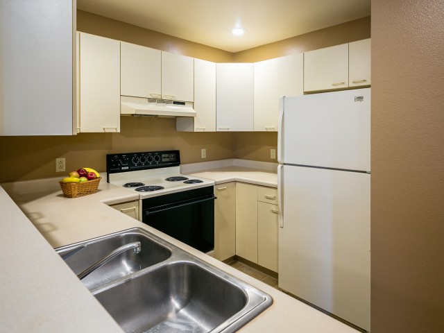 Image of Electric Range, Refrigerator, Dishwasher Included for Wi Rapids Timber Trail Apts