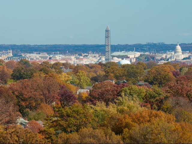 Washington DC Views