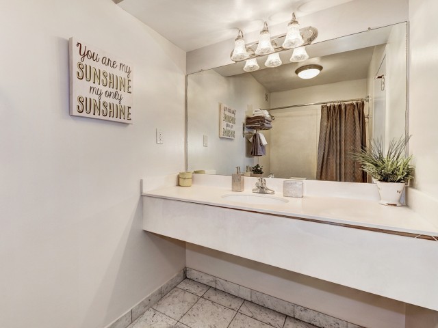 Classic Style Apartment Bathroom